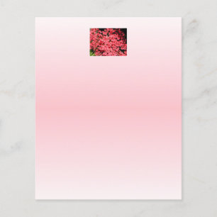 Papier Azalées. Jolies Fleurs Roses.