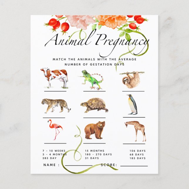 Papier Baby shower Citrouille de grossesse animale (Devant)