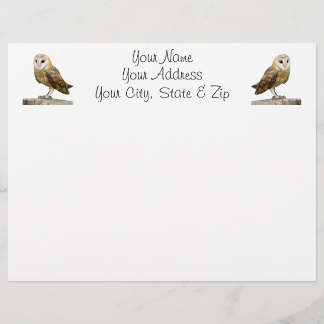 Papier Barn Owl (Devant)