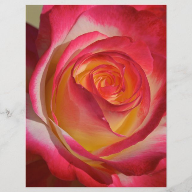 Papier Beauté de l'intérieur (Devant)