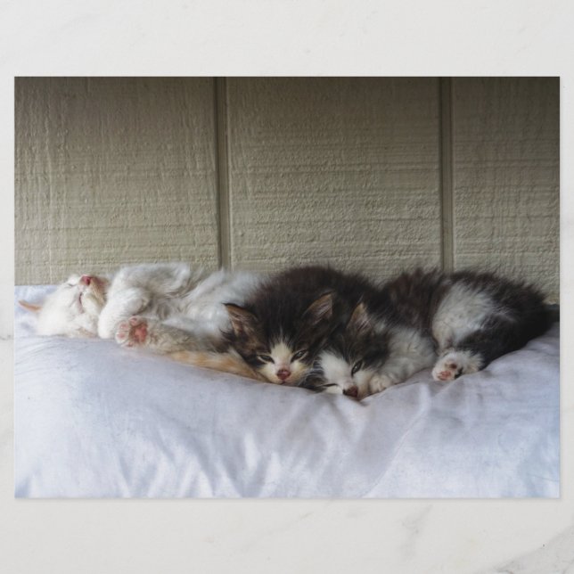 Papier Beautés dormantes (Devant)