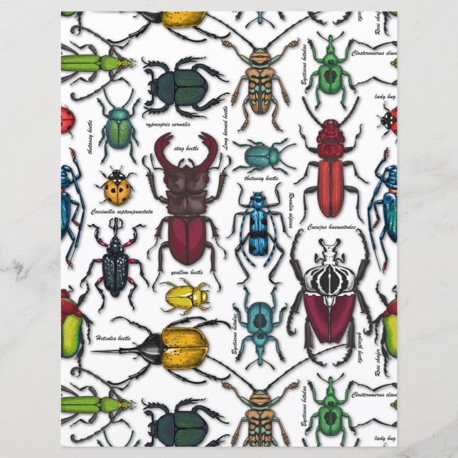 Papier Beetons sur blanc (Devant)
