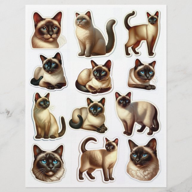 Papier Belle Siamese Cat Illustrations Têtes & Corps (Devant)
