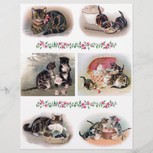 Papier Belles illustrations de chats et de chatons H. Mag