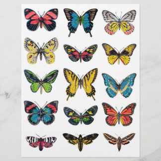 Papier Belles illustrations de papillons pour l'artisanat
