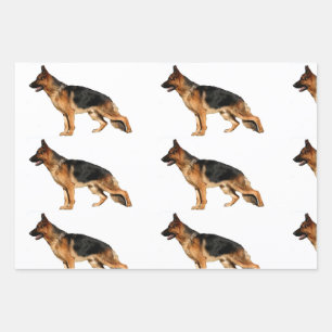 Papier berger allemand
