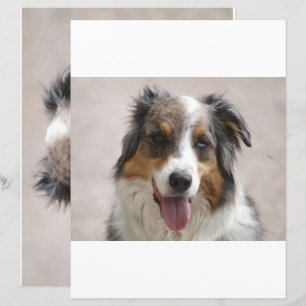 Papier berger australien à double face merle scrapbook