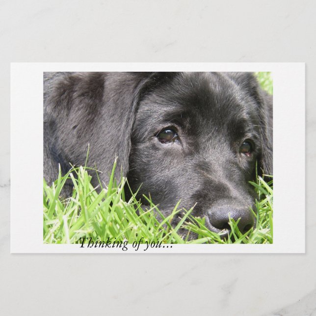 Papier Black Lab Penser à vous (Devant)
