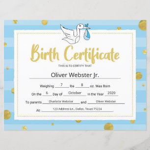 Papier Bleu certificat de naissance bébé certificat de ja