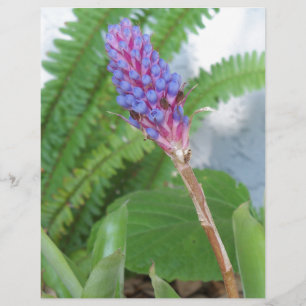 Papier Bleu cône fleur bromélique