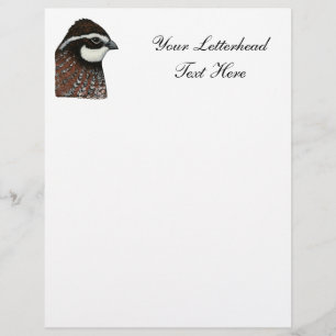 Papier Bobwhite Quail Head