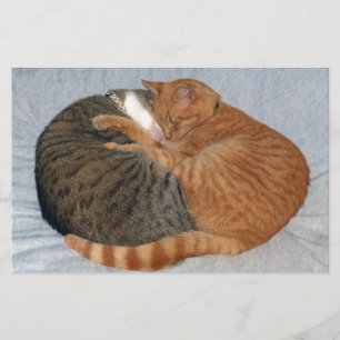 Papier Boule de la laideur