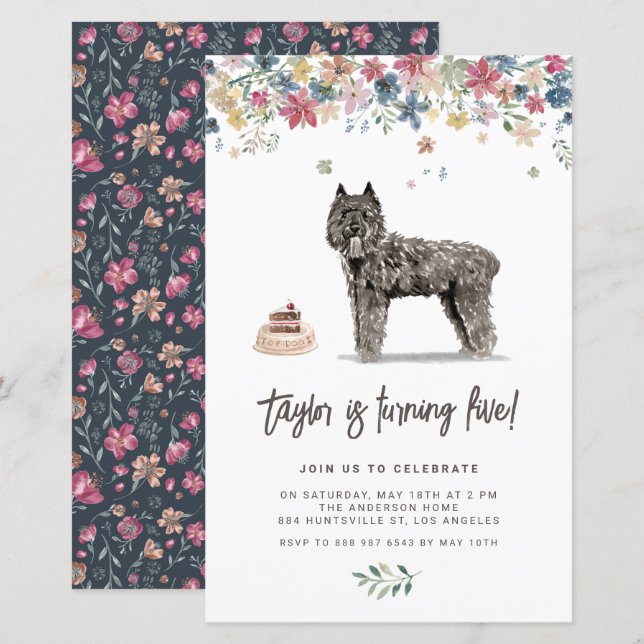 Papier Bouvier des Flandres Chien Invitation d'anniversai (Devant / Derrière)