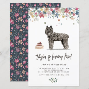 Papier Bouvier des Flandres Chien Invitation d'anniversai