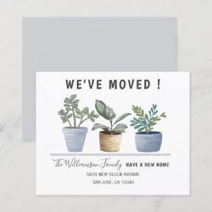 Papier Budget Botanique Pot Plantes Moving Faire-part