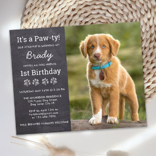 Papier Budget Chien Anniversaire Personnalisé Chiot Photo