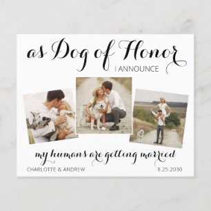 Papier Budget Chien D'Honneur Photos Mariage Enregistrer