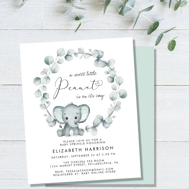 Papier Budget Elephant Eucalyptus Baby Sprinkl Invitation (Créateur téléchargé)