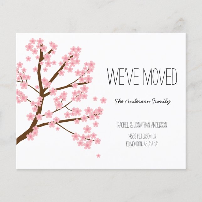 Papier Budget Fleurs de cerisiers Sakura Arbre Nous avons (Devant)