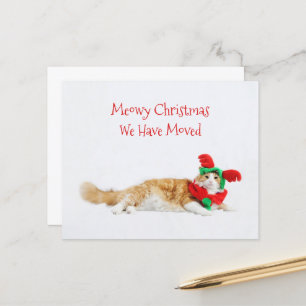 Papier Budget Funny Chat Noël Déménagement Nouvelle adres