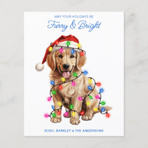 Papier Budget Golden Retriever Dog Furry & Bright Card