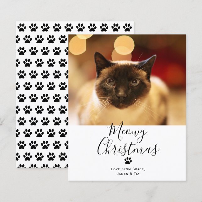 Papier BUDGET Meowy Noël Animaux de compagnie Cat Christm (Devant / Derrière)