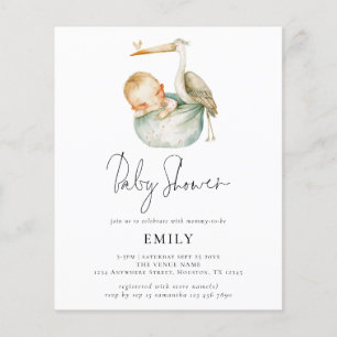 Papier Budget moderne Script mignon Stork et Baby shower