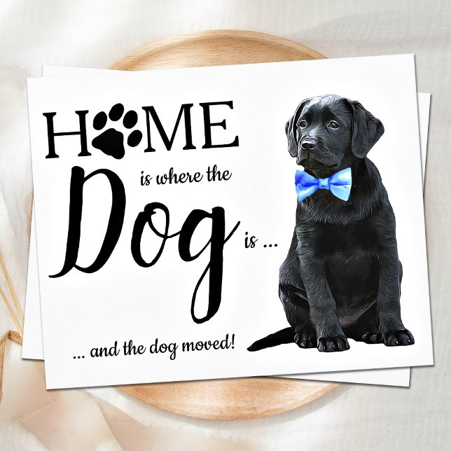 Papier Budget Nous avons déménagé de mignons chiens de Fa (Créateur téléchargé)