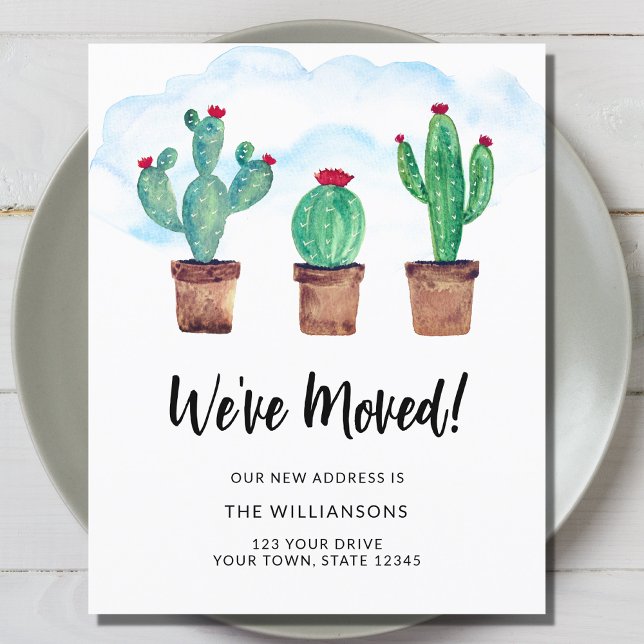 Papier Budget Nous avons déplacé les cactus (Créateur téléchargé)