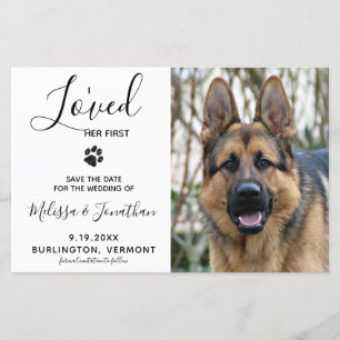 Papier Budget Pet Photo Chien Mariage Mariage Enregistrer
