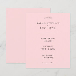 Papier Budget Rose B Minimaliste Mod 2V2 Enregistrez la D