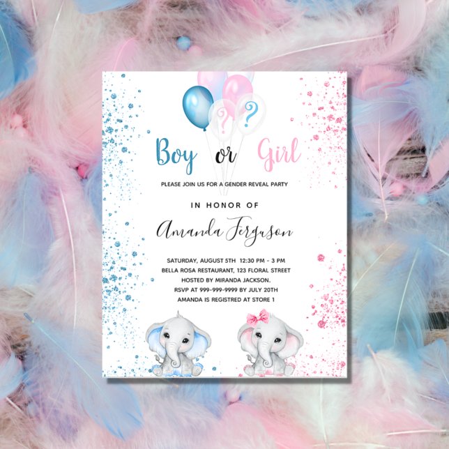 Papier Budget sexe révéler baby shower garçon fille (Créateur téléchargé)