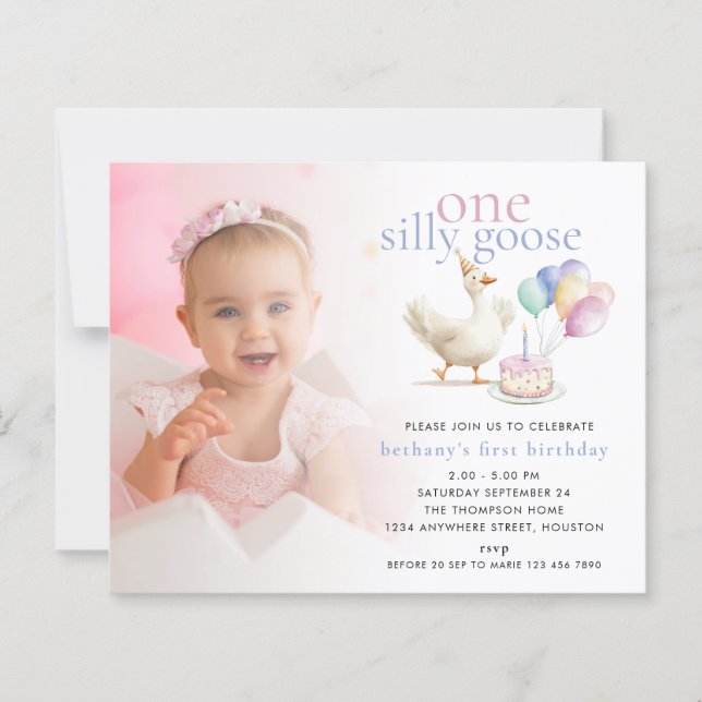 Papier Budget Un Silly Goose Photo Overlay 1er anniversai (Devant)