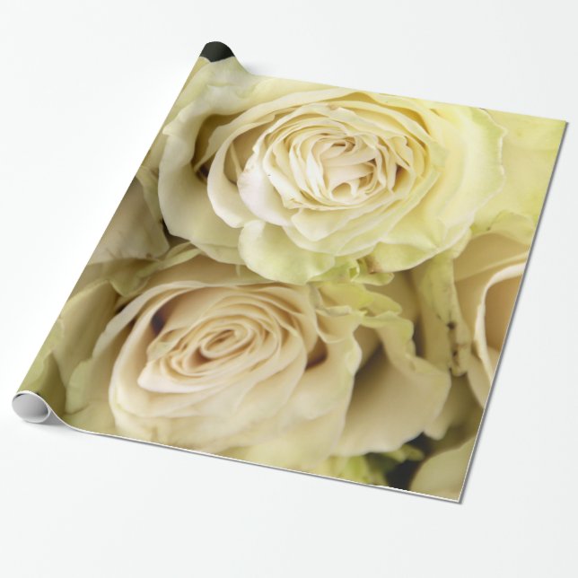 Papier Cadeau Abstrait Jardin de Roses Blanches Élégant Wrappin  (Déroulé)