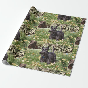 Papier Cadeau Ach !
