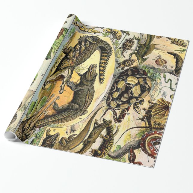 Papier Cadeau Adolphe Millot Reptiles 1 Papier à envelopper (Déroulé)