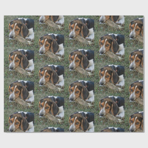 Papier Cadeau Adorable Beagle mâchant un os