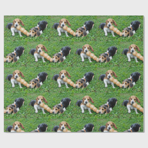 Papier Cadeau Adorable Chiots Beagles Tug De Guerre