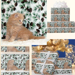 Papier Cadeau Adorable Ginger Kitten - Noël de chat
