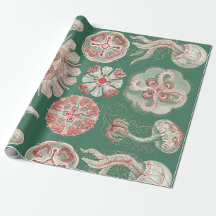 Papier Cadeau Affiche verte méduse rose Ernst Haeckel vie marine