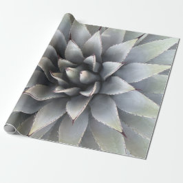 Papier Cadeau Agave Succulent Plante Cactus Vert sauge