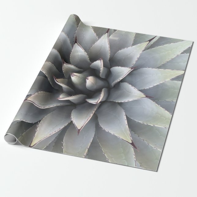 Papier Cadeau Agave Succulent Plante Cactus Vert sauge (Déroulé)