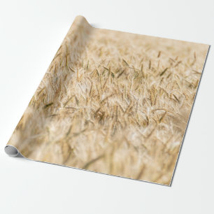 Papier Cadeau Agriculture mûre des champs de céréales