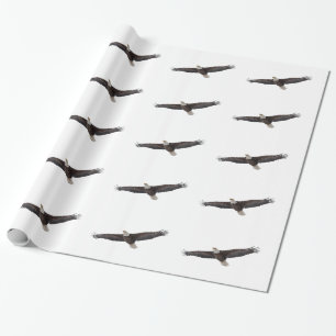 Papier Cadeau Aigle à tête blanche