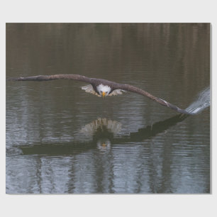 Papier Cadeau Aigle de Bald en vol