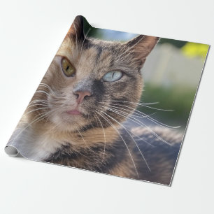 Papier Cadeau Ajouter une photo de chat Personnaliser