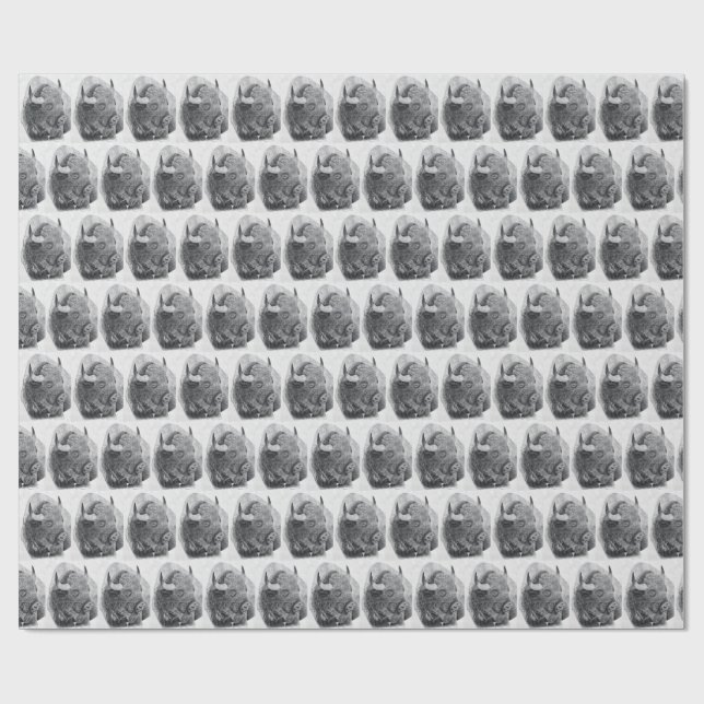 Papier Cadeau American Buffalo (Plat)