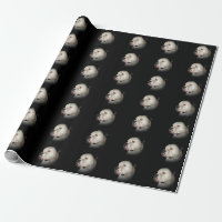 American Bulldog sur noir