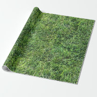 Amusante herbe verte vraie texture photo motif pla