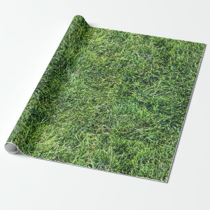 Papier Cadeau Amusante herbe verte vraie texture photo motif pla